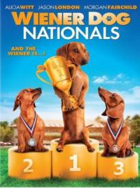 Shelly Champion Agrave 4 Pattes Wiener Dog Nationals