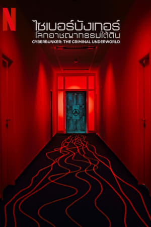 Cyberbunker Darknet In Deutschland