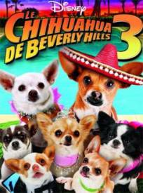 Le Chihuahua De Beverly H