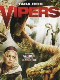 Vipegraveres Vipers