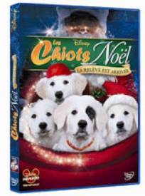 Les Chiots Noeumll La Rel