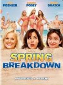 Spring Breakdown