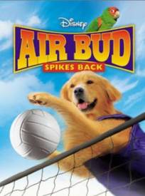 Airbud 5 Superstar Air Bu